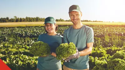 homem e mulher com lavoura ao fundo