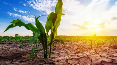 condições climáticas adversas