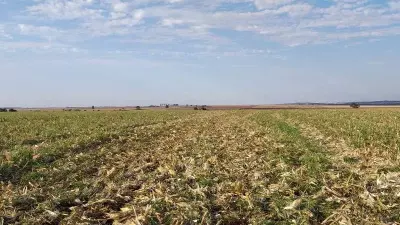 Quais os benefícios do processo de escarificação do solo?