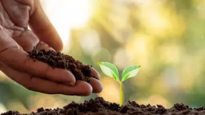 O poder dos nutrientes para as plantas