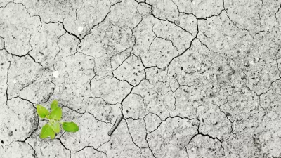 Problemas da Estiagem