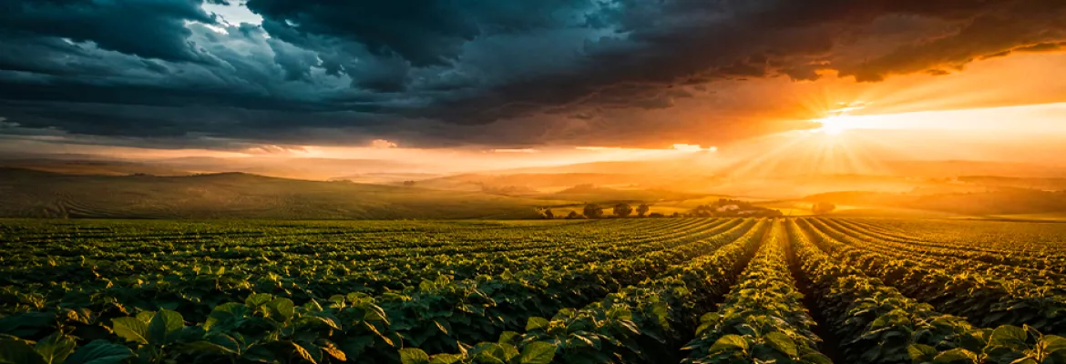 CLIMA E IMPACTOS