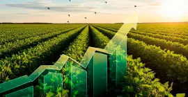 Como calcular o retorno sobre investimento