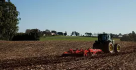 SCARIFIC a trabalhar no campo