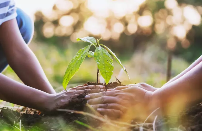 In our sustainable approach, we recognize that agriculture plays a growing role in the production of bioenergy, bio-based plastics, fibers, other materials as well as biomedicines. We design innovative, sustainable solutions for current and future agriculture in close collaboration with our customers.