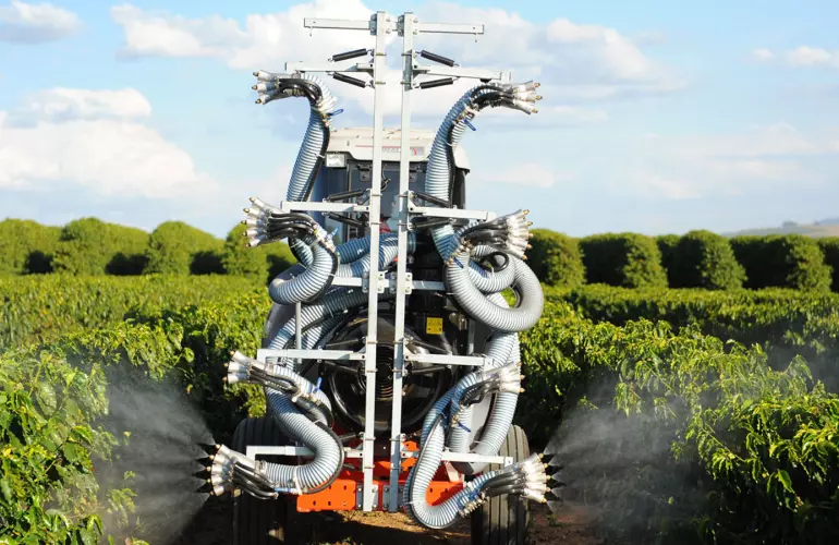 Mãozinha Esladeira trabalhando em cultura adulta