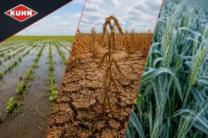 CLIMA E IMPACTOS