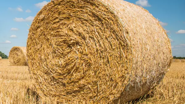 O sistema de DENSIDADE PROGRESSIVA PLUS aumenta a pressão e proporciona uma densidade 10% superior em forragens secas.