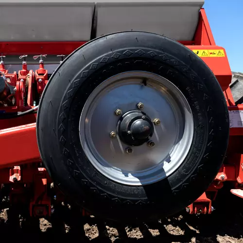 Rodado de transporte