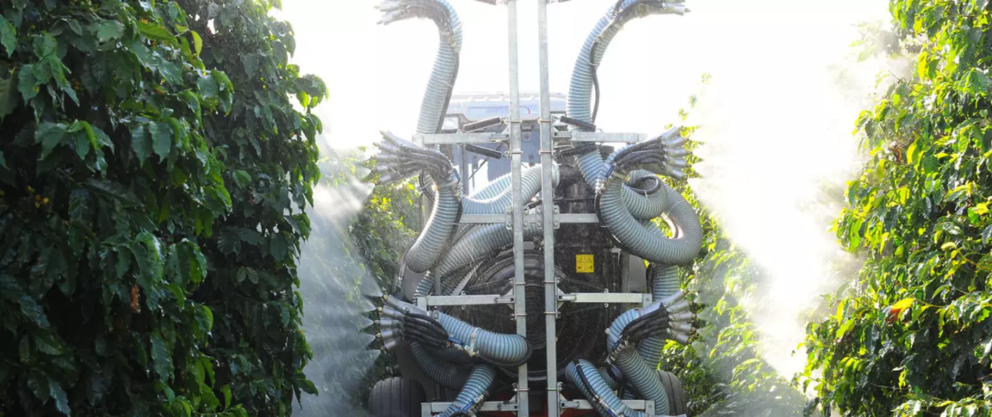 Mãozinha trabalhando em cultura nova - Somente com as mãozinha inferio