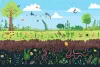 soil health regeneration with microbes, earthworms building organic matter and improve soil structure, highlighting the foundation of regenerative farming practices