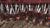 Detalhes dos compactadores em trabalho da semeadora mecânica ORIZA transpondo uma taipa.